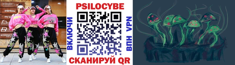 Псилоцибиновые грибы Psilocybine cubensis  Грайворон 